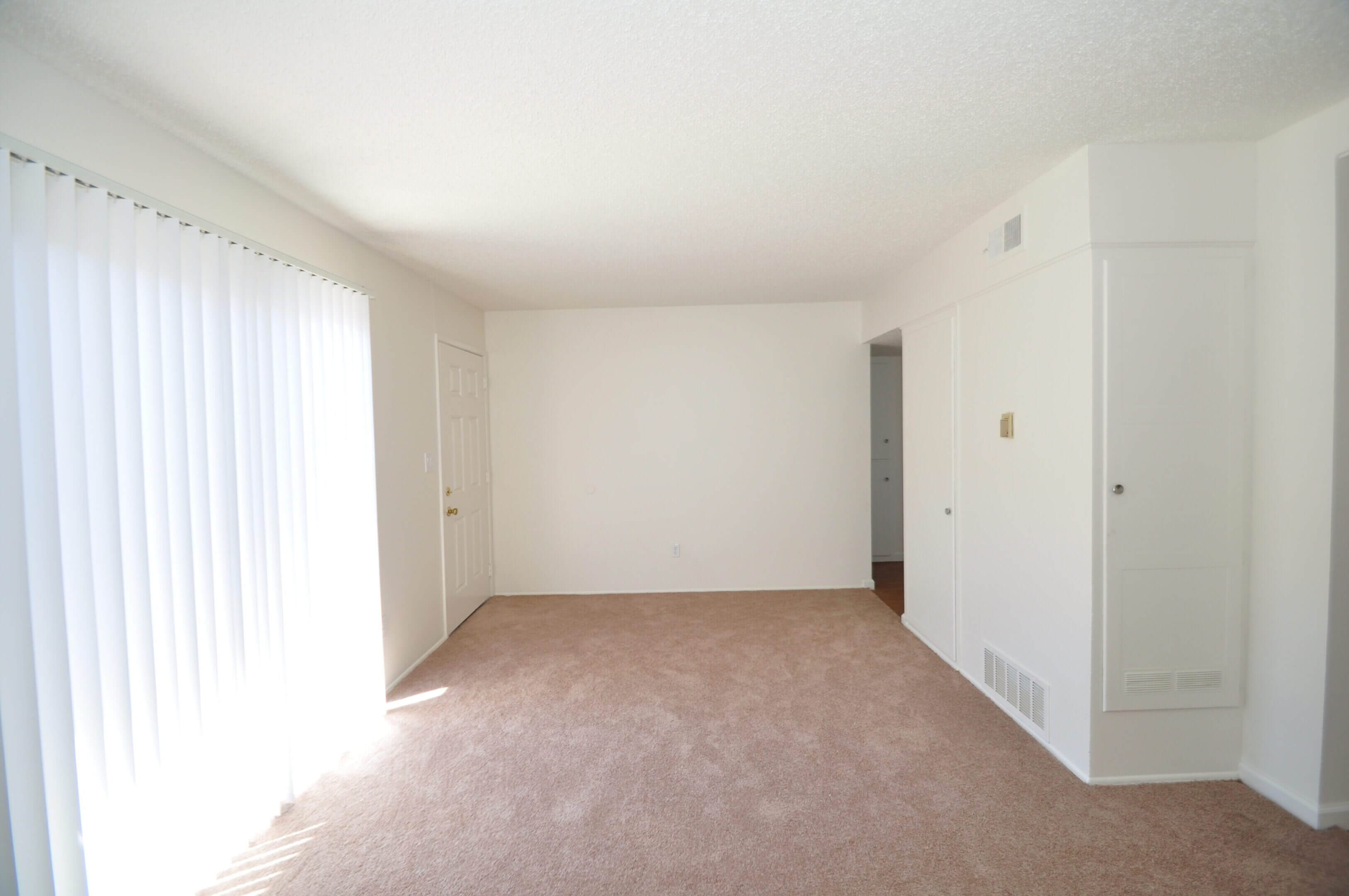 Sunlit empty living room with carpet and blinds