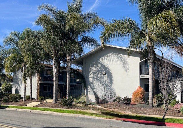 Sunlit white residential building with palm trees