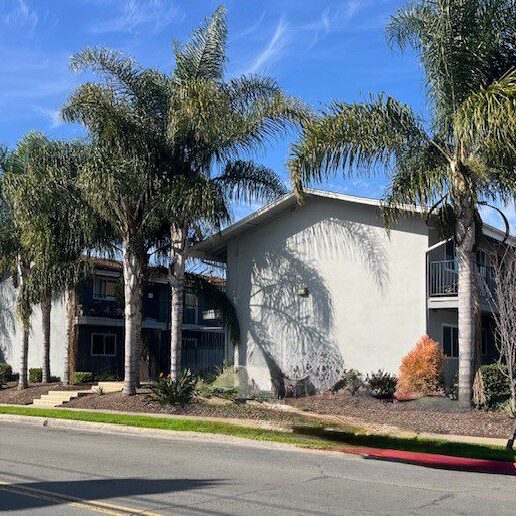 Sunlit white residential building with palm trees